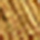 Amarillo Oro