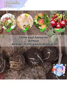 6件/12件/18件可重复使用植物生根装置，空气压条盒，植物生根种植箱，高压繁殖球嫁接装置植物根控制器花园植物生根箱，（黑色/白色），2英寸 - 彩色 - 查看 4