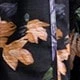 Nhiều màu