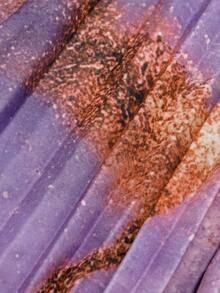 DreamSkyne Plus Size Ombre Starry Sky Print Pleated Dress Gym Brown Summer - Purple - View 5