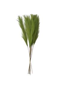 10/20/30 株人造绿色蒲苇草，波西米亚风装饰蒲苇，花瓶填充物，现代家居装饰仿真植物，婚礼装饰，花园装饰，家居装饰，春季装饰，房间装饰，秋季装饰，沙特阿拉伯国庆节圣诞节装饰 - 綠色 - 查看 8