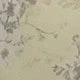 彩色