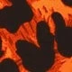 Orange brûlé