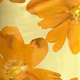 Pale Yellow