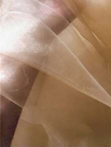1 Roll Champagne-Colored Organza Fabric With Rainbow Holographic Gradient, Clothing Fabrics Suitable For Clothing Design Flower Wrapping Room Decoration DIY Journaling And Photo Backdrops - Champagne milk tea color - View 6