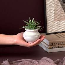 薰衣草石膏树脂水泥鱼缸、花盆、DIY干花、多肉植物小型吊盆模具 - 白色 - 查看 5