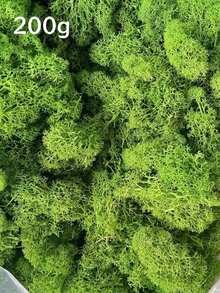 人造苔藓 - 逼真的仿真植物覆盖物，适用于DIY生态瓶、沙箱和玻璃景观装饰；迷你人造花园装饰，适用于客厅；婚礼花艺布置；提供多种颜色选择，包括翠绿色、深棕色、洋红色等 - 工艺苔藓 - 彩色 - 查看 6