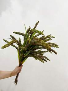 màu xanh lá