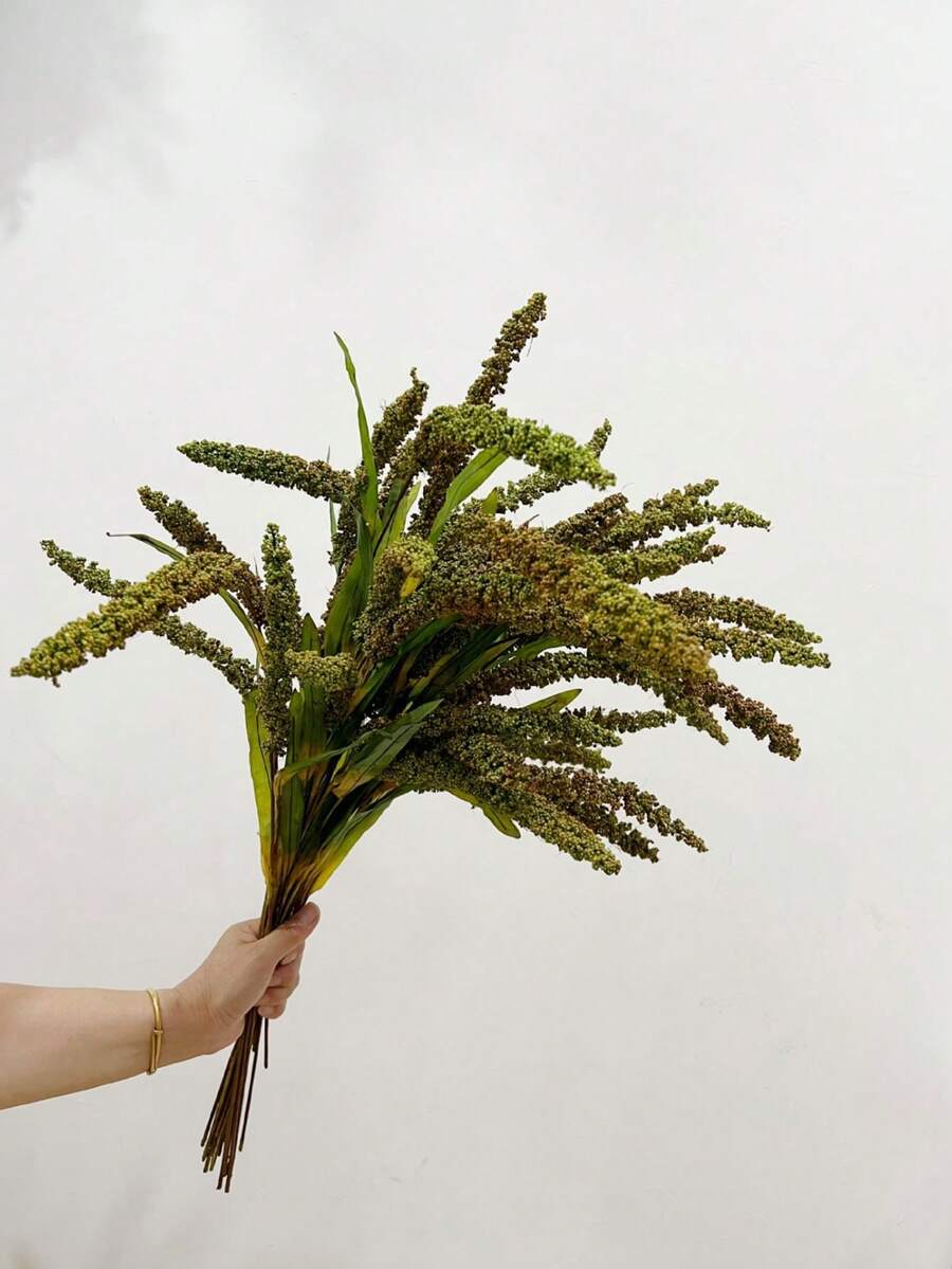 1/2/3 件装人造绿色植物枝条,73 厘米仿真麦穗,适用于墙面、客厅、卧室、婚礼、派对装饰、桌面装饰。家居、桌面装饰、厨房、婚礼、餐桌、中心装饰、办公室、花园、户外、房屋、庭院装饰,适合春、夏、秋、冬四季。 - 綠色 - 查看 1