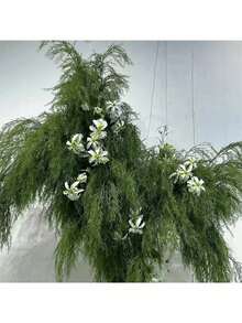 1株/2株/5株/10株仿真蕨类植物，模拟绿色植物枝条，蕨类，人造植物，婚礼装饰，春季装饰，厨房家居装饰，房间装饰，墙面装饰，卧室装饰，花瓶，房间配件，厨房装饰，房屋装饰，生日派对用品，仿真植物，装饰中心摆件 - 綠色 - 查看 5