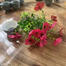 8 pachete de flori artificiale de interior/exterior și plante cu flori realiste, potrivite pentru grădini interioare și exterioare, verande, pervazuri, decorațiuni interioare, nunți, case de la țară etc. Flori artificiale de exterior, flori realiste din plastic care nu se decolorează, plante realiste, pot fi folosite pentru decorare, ghivece de flori suspendate, decorațiuni pentru vaze de bucătărie (6 culori) - Multicolor - Vizualizare 3