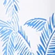 Blue and White