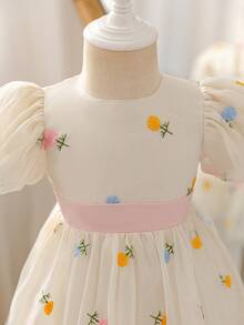 SHEIN Glamorique Kids 女婴优雅杏色刺绣网纱泡泡袖圆领可爱收腰双层荷叶边连衣裙，正式场合连衣裙，女婴派对连衣裙，女婴春季连衣裙，女婴公主裙，女婴派对连衣裙，母女亲子装，母女装，婴儿派对连衣裙，迎婴派对服装 - 杏色 - 查看 4