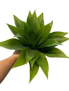 大型抗紫外线仿真龙舌兰植物，适合室内外装饰，假龙舌兰植物，人造植物 - 彩色 - 查看 8