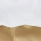 Caqui