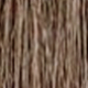 S2