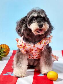 PETSIN 1 Piece Of Pet Dog/Cat Universal Flower Print Casual Dress, Comfortable And Breathable Summer Set - Multicolor - View 13