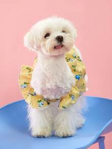 PETSIN 1件早春玫瑰花白色卷边印花宠物裙，轻柔透气，度假风宠物服装 - 彩色 - 查看 10