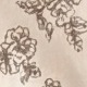彩色