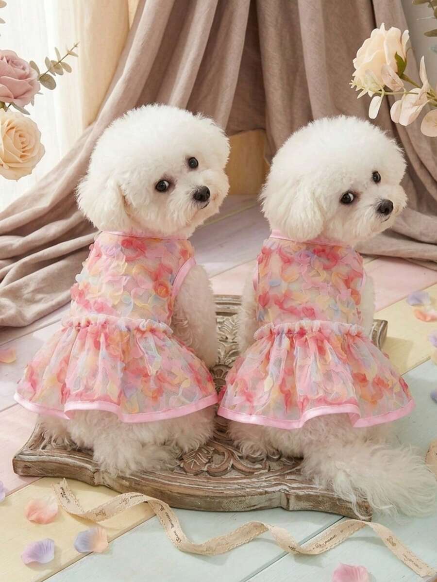 PETSIN 新款春季狗狗裙装、猫咪服装、可爱动物酷炫连衣裙、狗狗套装、新款春季裙子 - 彩色 - 查看 1