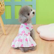 PETSIN 新款春季狗狗裙装、猫咪服装、可爱动物酷炫连衣裙、狗狗套装、新款春季裙子 - 彩色 - 查看 20