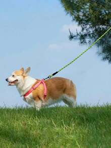 New Reflective Nylon Dog Leash, Anti-Pull Round Rope With Foam Comfort Handle For Walking Pets - Green - View 7