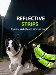 New Reflective Nylon Dog Leash, Anti-Pull Round Rope With Foam Comfort Handle For Walking Pets - Green - View 8