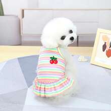 PETSIN 新款春季狗狗裙装、猫咪服装、可爱动物酷炫连衣裙、狗狗套装、新款春季裙子 - 彩色 - 查看 12