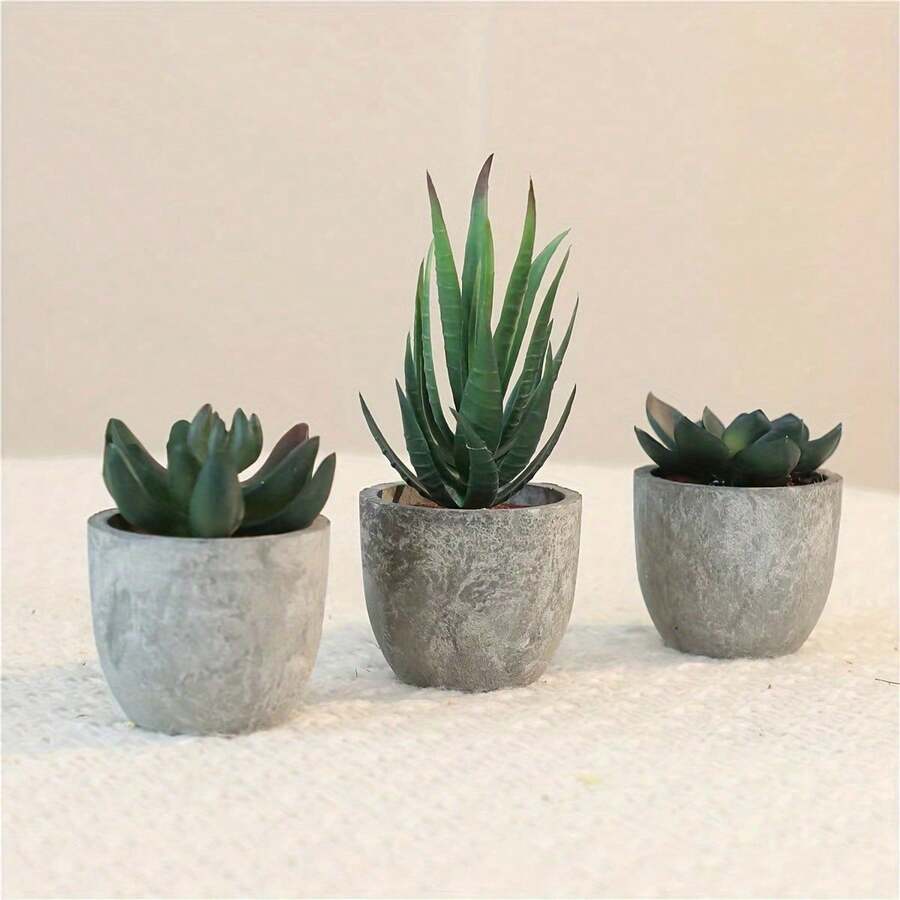 Bộ 3 cây mọng nước nhân tạo mini trong chậu xi măng mộc mạc (6*5cm), cây mọng nước giả sống động như thật cao 7-14cm (lô hội và các loại cây mọng nước khác), hoàn hảo để trang trí bàn làm việc, kệ sách và nhà cửa, món quà lý tưởng cho ngày Valentine. - màu xanh lá - Xem 1