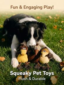 PETSIN 可爱的小鸟毛绒狗狗玩具，内置BB吠叫声，可与狗狗互动玩耍 - 彩色 - 查看 7