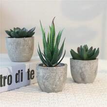 Bộ 3 cây mọng nước nhân tạo mini trong chậu xi măng mộc mạc (6*5cm), cây mọng nước giả sống động như thật cao 7-14cm (lô hội và các loại cây mọng nước khác), hoàn hảo để trang trí bàn làm việc, kệ sách và nhà cửa, món quà lý tưởng cho ngày Valentine. - màu xanh lá - Xem 5