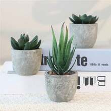 Bộ 3 cây mọng nước nhân tạo mini trong chậu xi măng mộc mạc (6*5cm), cây mọng nước giả sống động như thật cao 7-14cm (lô hội và các loại cây mọng nước khác), hoàn hảo để trang trí bàn làm việc, kệ sách và nhà cửa, món quà lý tưởng cho ngày Valentine. - màu xanh lá - Xem 6