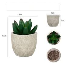 Bộ 3 cây mọng nước nhân tạo mini trong chậu xi măng mộc mạc (6*5cm), cây mọng nước giả sống động như thật cao 7-14cm (lô hội và các loại cây mọng nước khác), hoàn hảo để trang trí bàn làm việc, kệ sách và nhà cửa, món quà lý tưởng cho ngày Valentine. - màu xanh lá - Xem 3