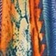 Multicolor