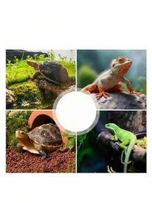 Large Reptile Bath Pool With River Shape Design, Smooth Round Edge Shallow Water Dish For Turtles Bearded Dragons Lizards Frogs, Tortoise Accessory - Multicolor - View 2