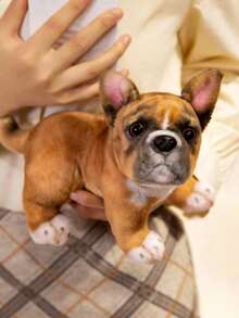 POKOJA LAND 8.6英寸椋鸟，法国斗犬毛绒玩具，仿真逼真，柔软手工制作，卧姿可爱，适合男孩女孩，是送给各个年龄段和各种场合的可爱礼物。 - 彩色 - 查看 8