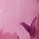 Rose pâle
