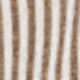 Café integral