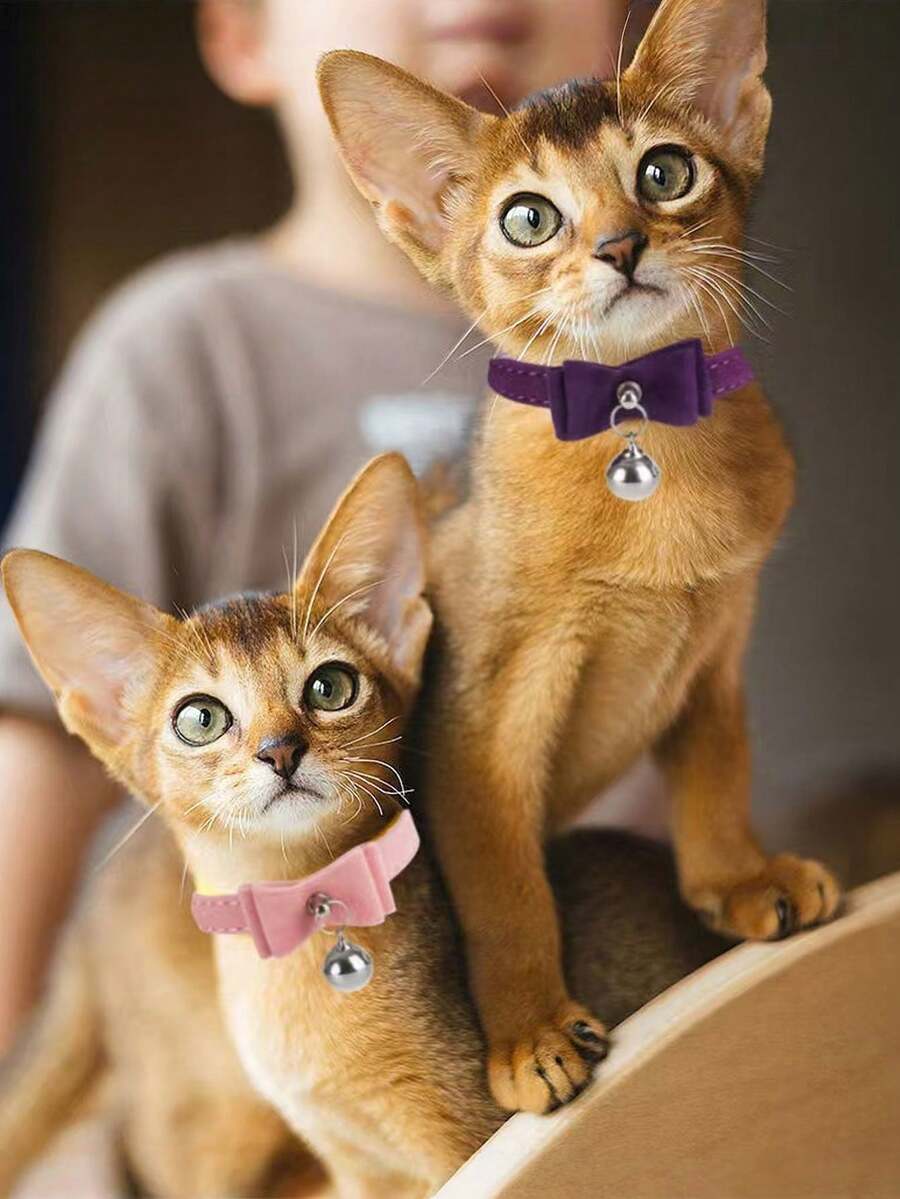 宠物项圈,带铃铛和蝴蝶结的猫项圈,四季皆宜,狗狗宠物用品,狗狗外出用品 - 多色1 - 查看 1