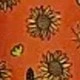 Coral Orange
