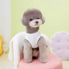 PETSIN 狗狗服装、猫咪服装、动物裙装、宠物春夏新品系列、幼犬连衣裙、公主风百搭连衣裙、条纹印花、小型动物服装、清凉防晒霜 - 彩色 - 查看 6