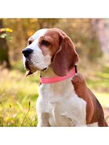 Collar de nailon para perros con hilo reflectante de huella pequeña, ajustable en tamaño para perros grandes, medianos y pequeños - Rosa - Ver 4