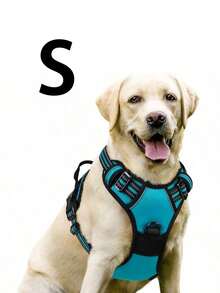Cinto de Segurança para Cachorro Rabbitgoo, Colete Acolchoado e Reflexivo com 2 Clipes Ajustáveis de Cinto de Segurança, Arnês Respirável Sem Puxão com Alça para Cachorros Pequenos/Médios/Grandes - Multicolorido - Visão 50