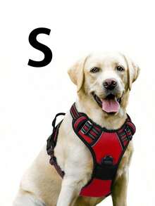 Cinto de Segurança para Cachorro Rabbitgoo, Colete Acolchoado e Reflexivo com 2 Clipes Ajustáveis de Cinto de Segurança, Arnês Respirável Sem Puxão com Alça para Cachorros Pequenos/Médios/Grandes - Multicolorido - Visão 29