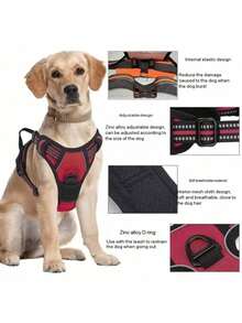 Cinto de Segurança para Cachorro Rabbitgoo, Colete Acolchoado e Reflexivo com 2 Clipes Ajustáveis de Cinto de Segurança, Arnês Respirável Sem Puxão com Alça para Cachorros Pequenos/Médios/Grandes - Multicolorido - Visão 2