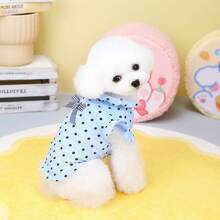 PETSIN 宠物春季新款狗狗服装 动物用品 宠物服装 狗狗背心 猫咪T恤 泰迪熊套装 小型动物服装 休闲酷炫背心 狗狗服装 猫咪服装 春夏两季新款背心 - 彩色 - 查看 13
