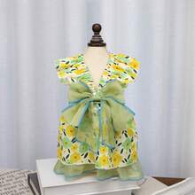 PETSIN 狗狗服装、猫咪服装、动物裙装、宠物春夏新品系列、幼犬连衣裙、公主风百搭连衣裙、条纹印花、小型动物服装、清凉防晒霜 - 彩色 - 查看 15