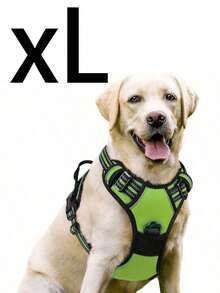 Cinto de Segurança para Cachorro Rabbitgoo, Colete Acolchoado e Reflexivo com 2 Clipes Ajustáveis de Cinto de Segurança, Arnês Respirável Sem Puxão com Alça para Cachorros Pequenos/Médios/Grandes - Multicolorido - Visão 45