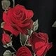 Red and Black