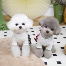 PETSIN Dog Clothing, Cat Clothing, Animal Skirts, Pet Spring/Summer New Collection, Puppy Dress, Princess Versatile Dress, Printed Stripes, Small Animal Clothing, Cool Sunscreen - Multicolor - View 10